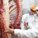 argentina-announces-agreement-with-japan-to-open-up-beef-exports