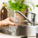 experto-por-hallazgo-de-e.-coli:-“esto-no-quiere-decir-que-el-agua-este-contaminada”