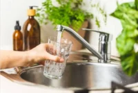 experto-por-hallazgo-de-e.-coli:-“esto-no-quiere-decir-que-el-agua-este-contaminada”