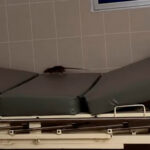 rata-pasea-sobre-camilla-y-se-sube-a-jarra-de-agua-usada-por-pacientes-en-area-de-dengue-de-hospital-essalud-en-piura