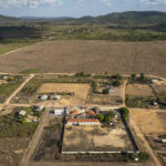 assentamento-tem-avanco-da-soja-por-vereador-do-pl-e-divisao-entre-liderancas-petistas-e-bolsonaristas
