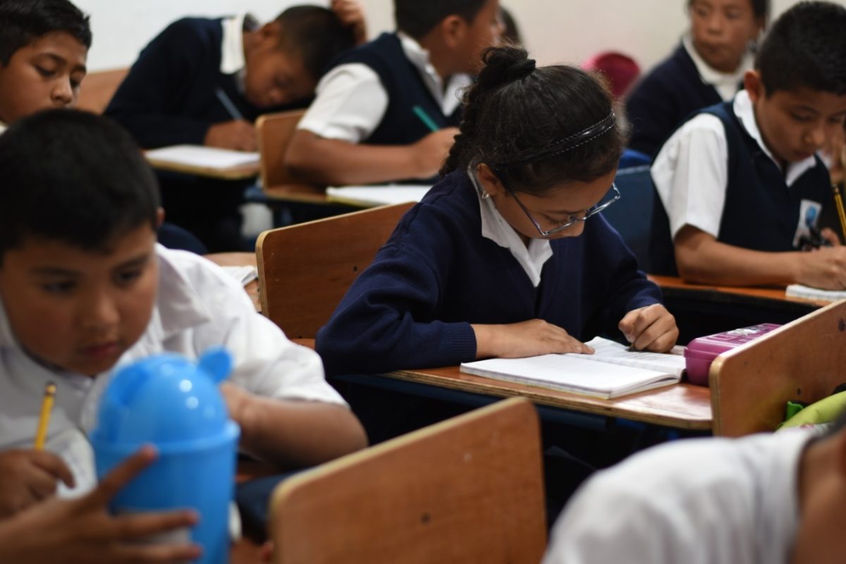 otras-dos-nuevas-carreras-de-magisterio-a-la-oferta-de-diversificado-son-aprobadas-por-el-mineduc