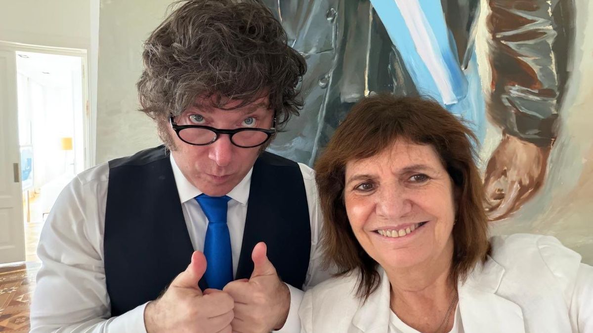 la-libertad-avanza-llevo-su-interna-a-idea:-milei-pateo-la-reforma-previsional-para-2028-y-bullrich-presento-su-propuesta