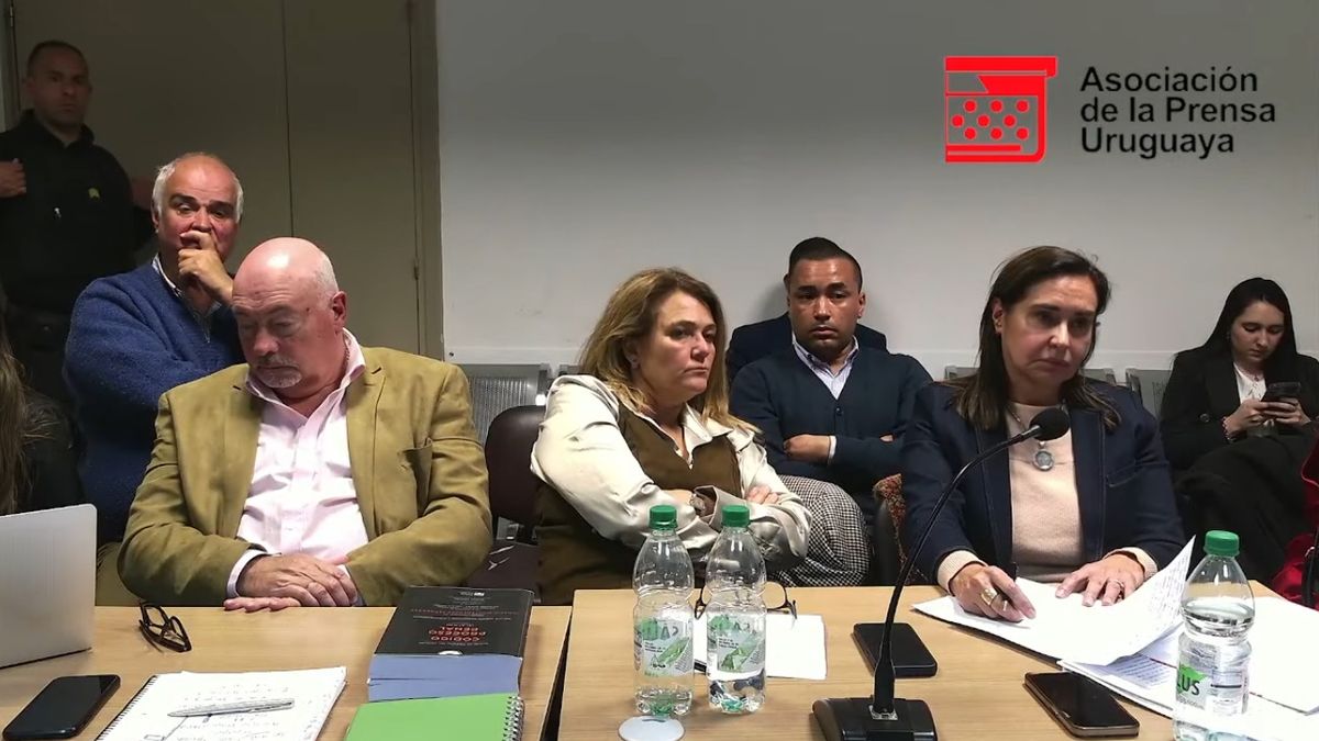 la-justicia-prorrogo-la-prision-preventiva-de-gustavo-penades-y-ceso-la-domiciliaria-de-sebastian-mauvezin,-que-usara-tobillera-electronica