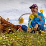 introdujeron-150-gallinas-en-una-enorme-finca-australiana-y-en-menos-de-3-anos-observaron-mas-agua-en-el-suelo-y-flores-rosas:-¿como-fue-posible?