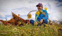 introdujeron-150-gallinas-en-una-enorme-finca-australiana-y-en-menos-de-3-anos-observaron-mas-agua-en-el-suelo-y-flores-rosas:-¿como-fue-posible?