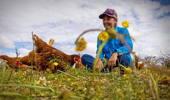 introdujeron-150-gallinas-en-una-enorme-finca-australiana-y-en-menos-de-3-anos-observaron-mas-agua-en-el-suelo-y-flores-rosas:-¿como-fue-posible?