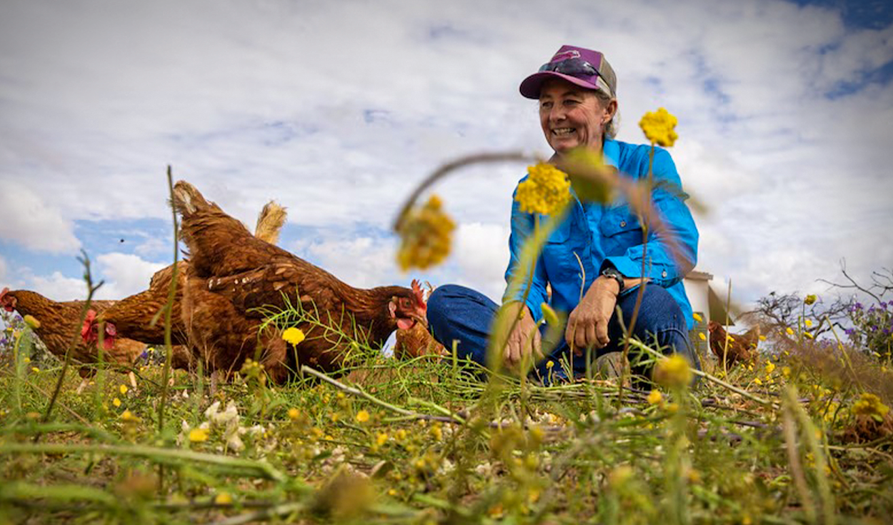 introdujeron-150-gallinas-en-una-enorme-finca-australiana-y-en-menos-de-3-anos-observaron-mas-agua-en-el-suelo-y-flores-rosas:-¿como-fue-posible?