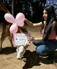 eli-galeano-recibio-de-regalo-un-ternerito-con-una-propuesta-de-amor:-“las-flores-quedaron-oficialmente-destronadas”