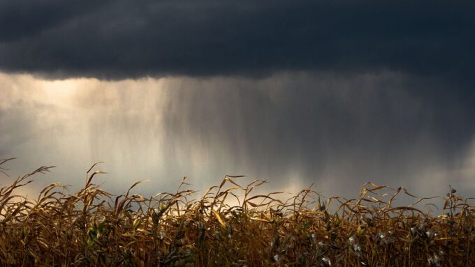 los-desafios-que-plantea-el-nino-a-un-sector-exportador-con-altibajos