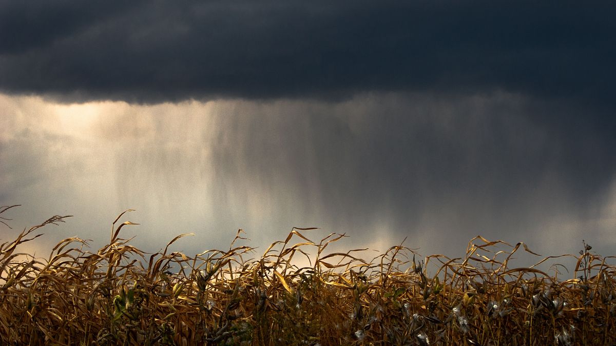 los-desafios-que-plantea-el-nino-a-un-sector-exportador-con-altibajos