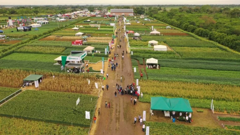 agro-vidas-2026-reunira-a-mas-de-350-empresas-y-34-parcelas-demostrativas