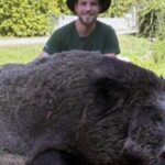 mira-el-gigantesco-jabali-que-cazaron-en-una-finca-abierta-francesa