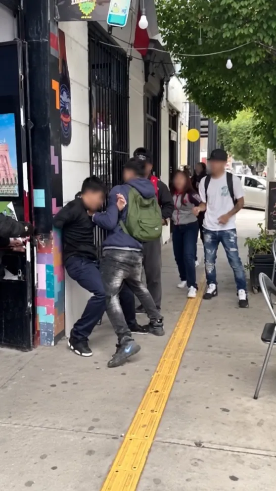 violencia-entre-estudiantes-reabre-debate-sobre-rol-de-los-colegios