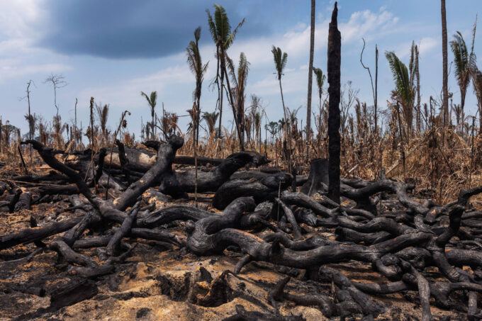 disputa-na-amazonia-ignora-floresta-em-pe,-e-candidatos-defendem-abertura-de-areas-e-grandes-obras