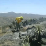 limari-refuerza-prevencion-por-incendios:-concentro-el-42%-de-los-siniestros-en-2025-2026
