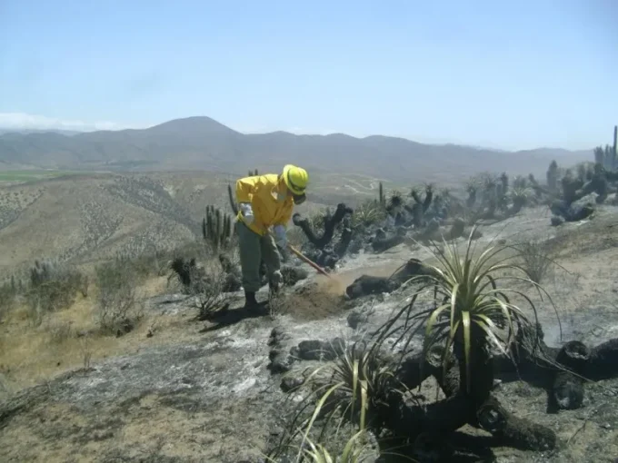 limari-refuerza-prevencion-por-incendios:-concentro-el-42%-de-los-siniestros-en-2025-2026