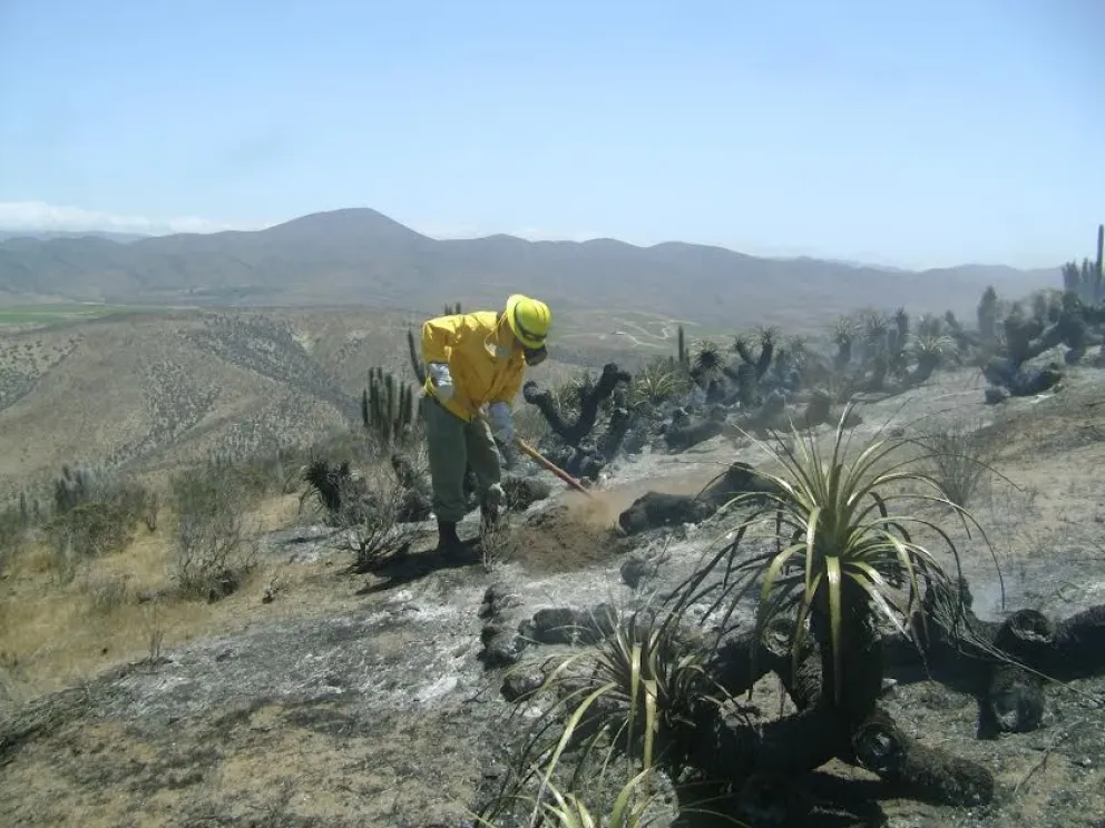limari-refuerza-prevencion-por-incendios:-concentro-el-42%-de-los-siniestros-en-2025-2026