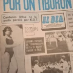tres-ataques-de-tiburones-con-resultado-de-muerte-se-han-registrado-en-la-region