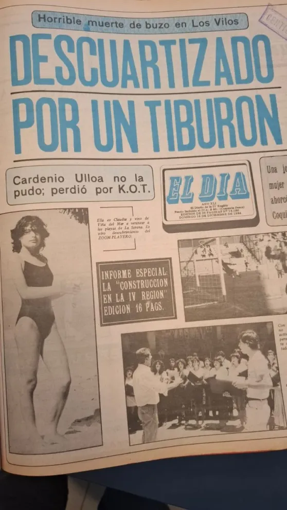 tres-ataques-de-tiburones-con-resultado-de-muerte-se-han-registrado-en-la-region