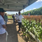 soyeros-buscan-mayor-rendimiento-para-bajar-costos-de-produccion