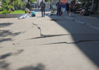 explosao-de-bueiro-deixa-tres-pessoas-feridas-na-avenida-paulista