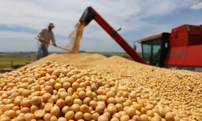anapo-pide-liberacion-total-en-las-exportaciones-de-productos-agricolas 