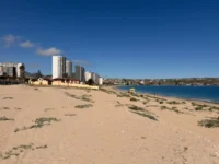 aprueban-proyecto-de-$850-millones-para-construir-paseo-peatonal-en-la-herradura