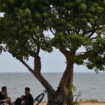clima-en-uruguay-hoy:-lo-que-hay-que-saber,-segun-inumet,-para-este-domingo-4-de-octubre