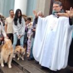 la-tradicion-del-transito-de-san-francisco-llega-a-ocho-siglos-y-bendice-a-las-mascotas