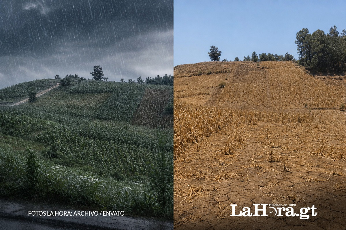 ¿que-cambia-ahora-que-el-nino-se-establecio-en-guatemala?-esto-explico-el-insivumeh