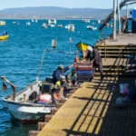 un-mar-que-cambia:-el-nino-golpea-a-la-pesca-artesanal-de-la-region-de-coquimbo