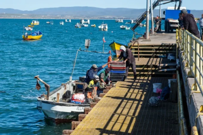 un-mar-que-cambia:-el-nino-golpea-a-la-pesca-artesanal-de-la-region-de-coquimbo