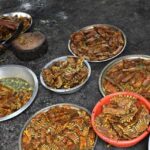 en-inde,-le-vegetarisme,-obsession-des-nationalistes-hindous