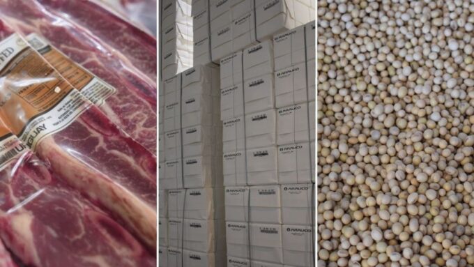 exportaciones-uruguayas-de-carne-vacuna,-celulosa-y-soja-lograron-casi-us$-5.000-millones