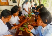 el-carmen-habilita-aulas-para-conservar-las-orquideas
