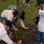 cuatro-anos-plantando-futuro:-detalles-del-proyecto-100-arboles-del-iica-que-llega-a-grutas-del-palacio