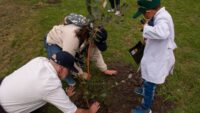 cuatro-anos-plantando-futuro:-detalles-del-proyecto-100-arboles-del-iica-que-llega-a-grutas-del-palacio