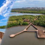 barranquilla-logra-por-primera-vez-el-premio-nacional-de-arquitectura-con-el-ecoparque-cienaga-de-mallorquin