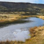 pesca-en-el-sur:-permisos,-precios-y-nuevas-reglas-para-la-temporada-2026/27