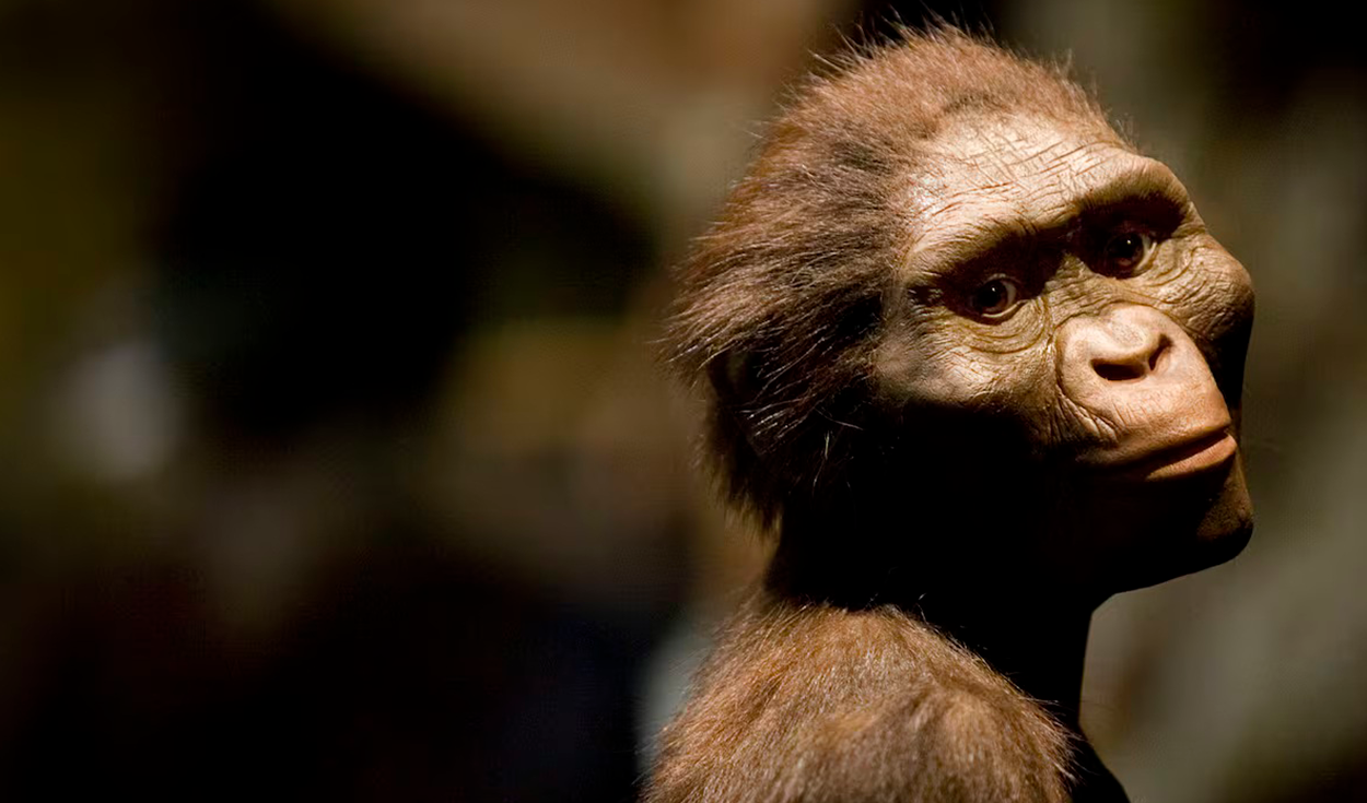 un-investigador-propone-incluir-a-lucy-al-mismo-genero-de-humanos-modernos-y-reorganizar-nuestro-arbol-genealogico