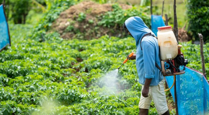 sembrando-alimentos,-¿cosechando-riesgos-de-cancer?,-por-javier-herrera