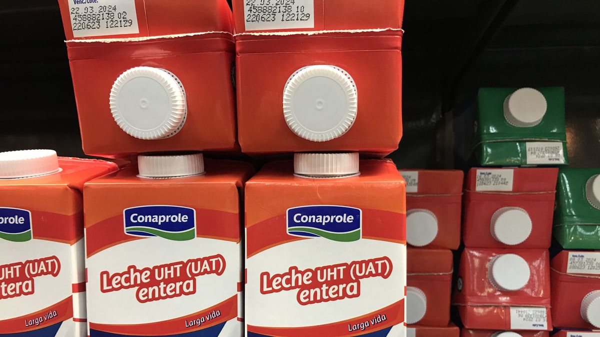 sindicato-de-la-leche-anuncia-medidas-por-despido-de-25-trabajadores:-advierten-que-puede-afectar-la-recepcion-de-materia-prima