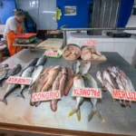 baja-en-la-captura-de-jurel-y-merluza-encarece-su-valor-en-el-mercado-local