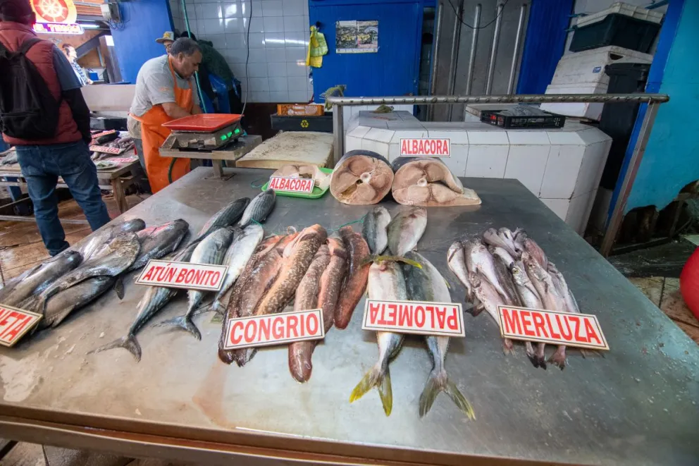 baja-en-la-captura-de-jurel-y-merluza-encarece-su-valor-en-el-mercado-local