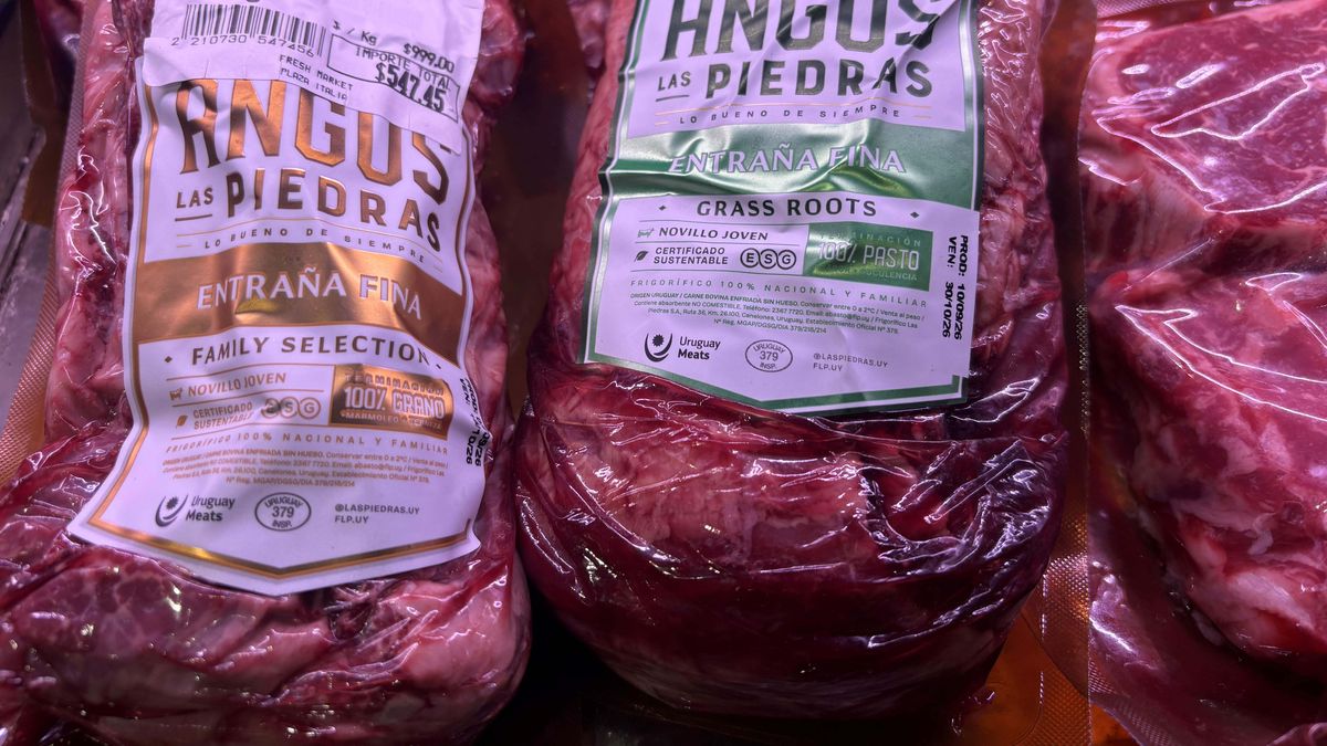 ingresos-por-exportaciones-de-carnes-mejoran-tras-un-ano-record-y-se-arriman-a-los-us$-2.500-millones