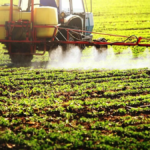 ley-de-competitividad:-industria-quimica-cuestiono-el-articulo-140-y-advirtio-por-el-futuro-de-la-produccion-nacional-de-agroquimicos
