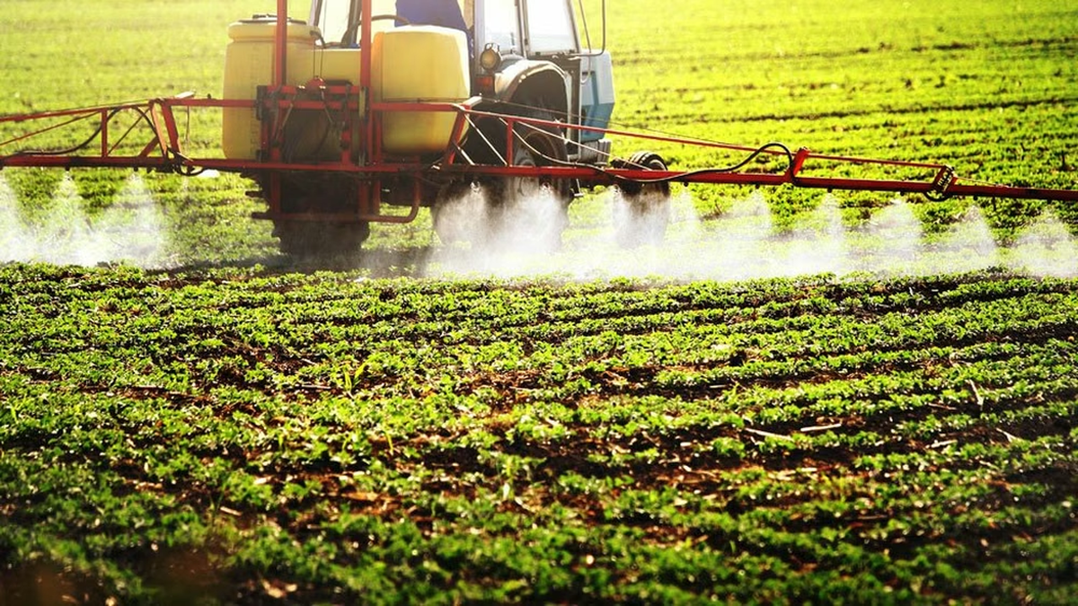 ley-de-competitividad:-industria-quimica-cuestiono-el-articulo-140-y-advirtio-por-el-futuro-de-la-produccion-nacional-de-agroquimicos