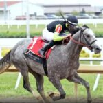 cavalo-de-corrida-‘pintor-austriaco’-e-rebatizado-apos-denuncia