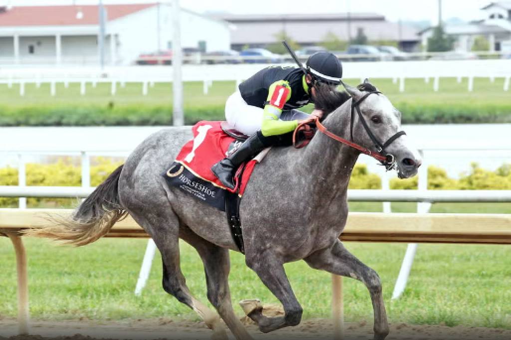 cavalo-de-corrida-‘pintor-austriaco’-e-rebatizado-apos-denuncia